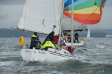 hot toddy 3199y whyw17 fri gjmc 9184